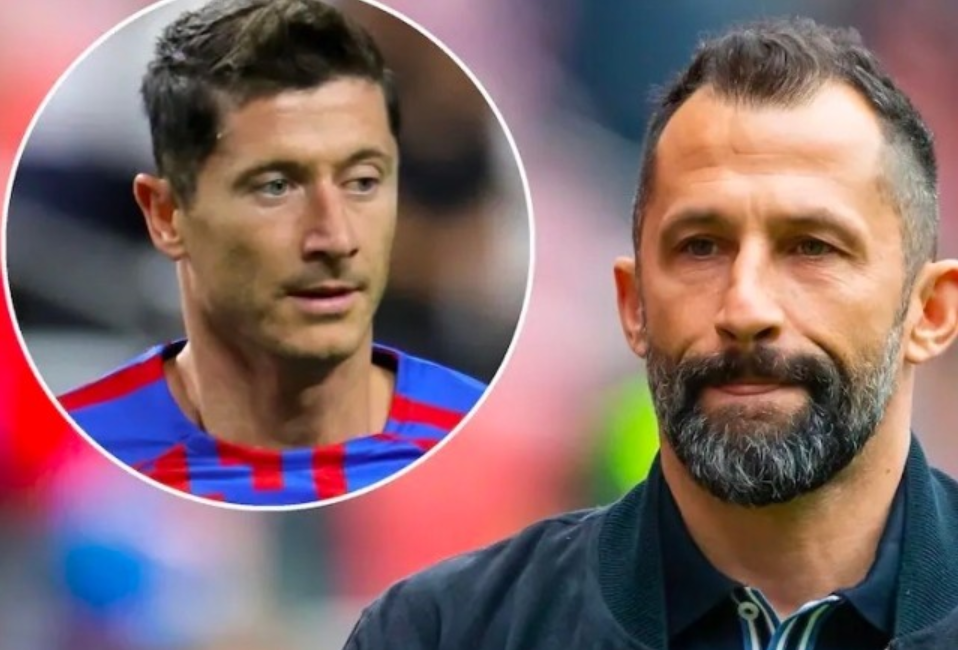 己的球技 己的球技