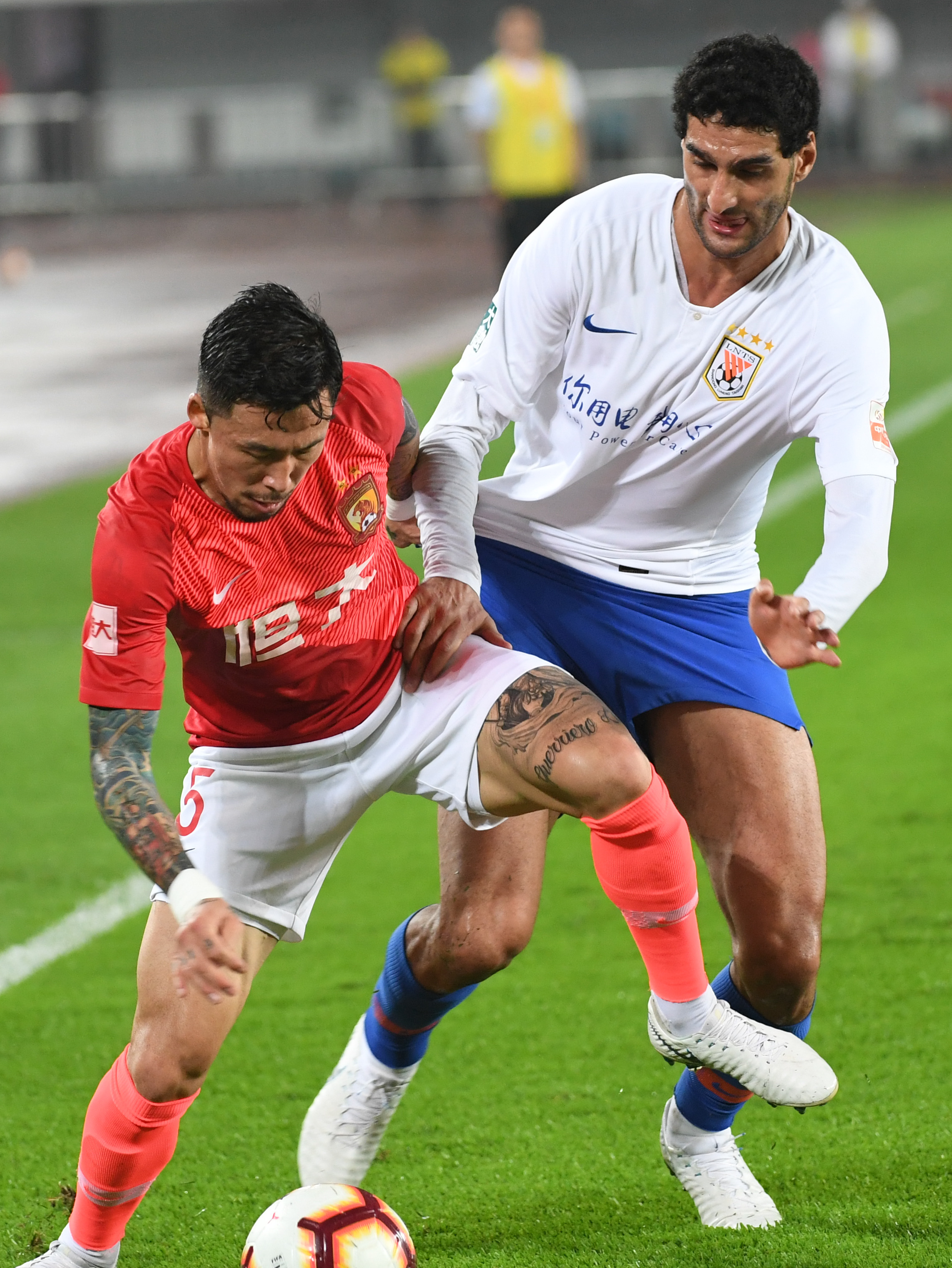 适应力被广 适应力被广