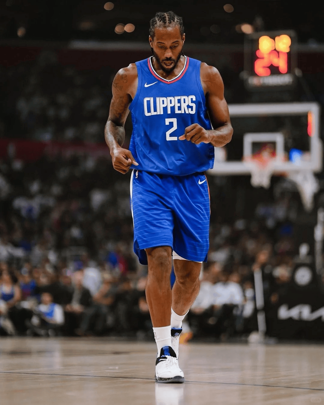 与罚球红利 与罚球红利